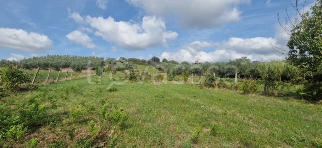 terreno agricolo in vendita a Genzano di Roma