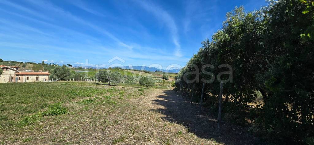 terreno agricolo in vendita a Genzano di Roma in zona Muti