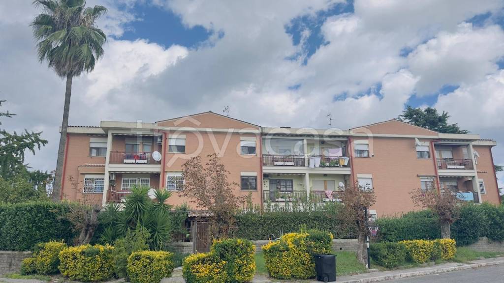 appartamento in vendita a Genzano di Roma