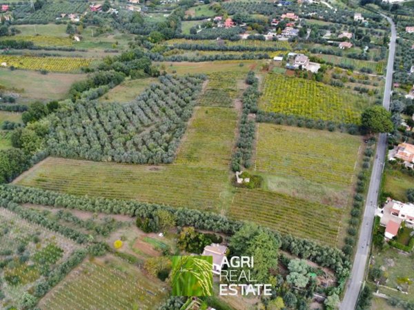 terreno agricolo in vendita a Genzano di Roma in zona Landi