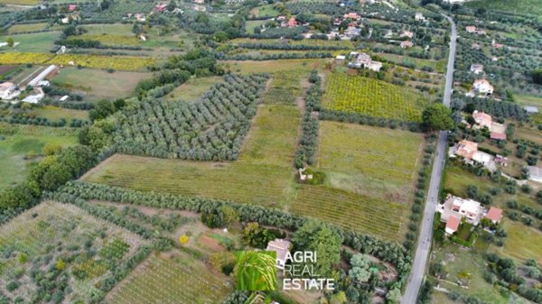 terreno agricolo in vendita a Genzano di Roma in zona Landi