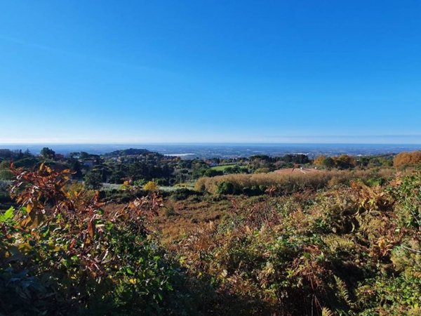 terreno agricolo in vendita a Genzano di Roma