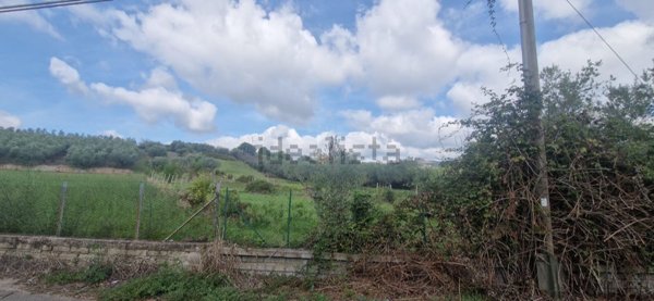 terreno agricolo in vendita a Genzano di Roma