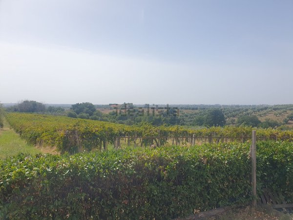 terreno agricolo in vendita a Genzano di Roma in zona Landi