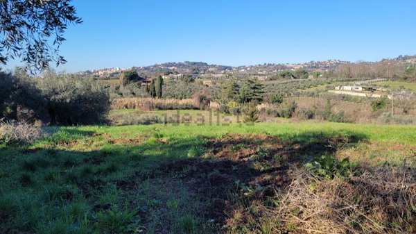 terreno agricolo in vendita a Genzano di Roma
