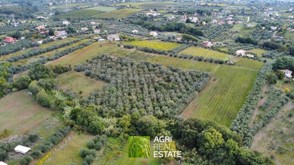terreno agricolo in vendita a Genzano di Roma