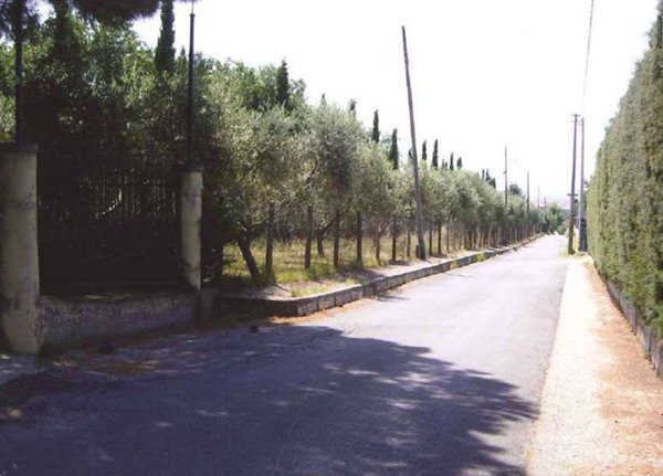 terreno agricolo in vendita a Genzano di Roma