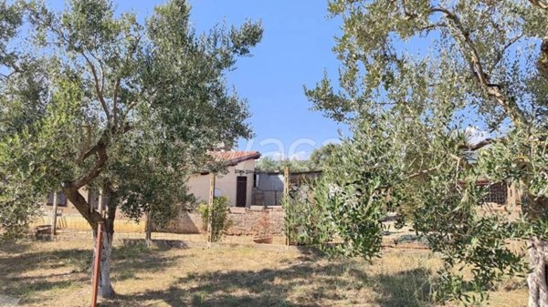 casa indipendente in vendita a Genzano di Roma in zona Landi