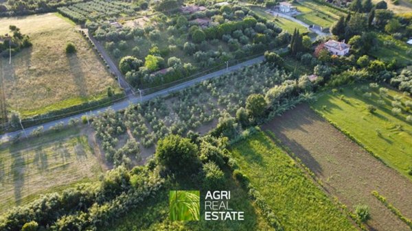 terreno agricolo in vendita a Genzano di Roma in zona Landi