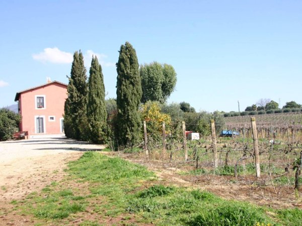 terreno agricolo in vendita a Genzano di Roma in zona Landi