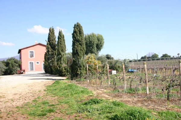terreno agricolo in vendita a Genzano di Roma