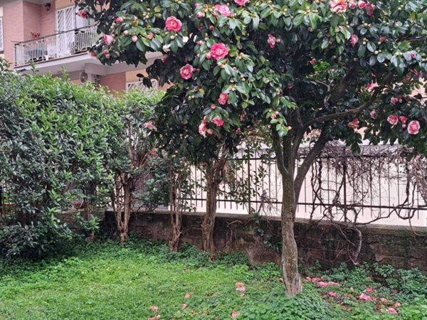 appartamento in vendita a Genzano di Roma