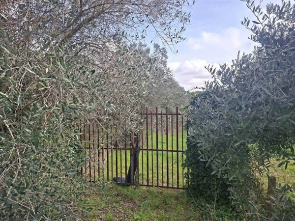 terreno agricolo in vendita a Genzano di Roma in zona Landi