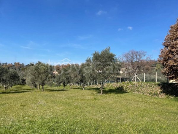terreno agricolo in vendita a Genzano di Roma