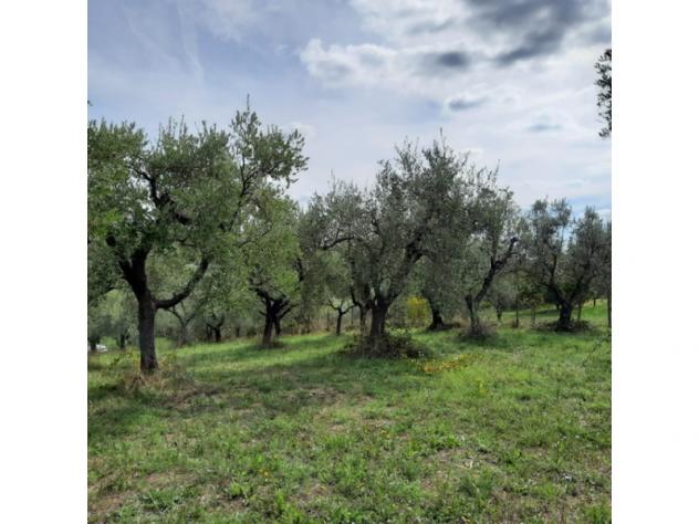 terreno agricolo in vendita a Genzano di Roma in zona Muti