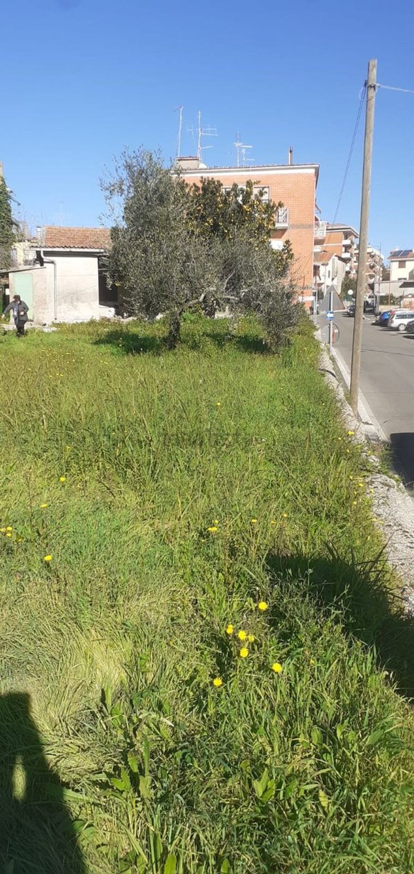 quadrivano in vendita a Genzano di Roma
