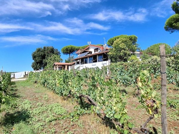 casa indipendente in vendita a Genzano di Roma in zona Landi