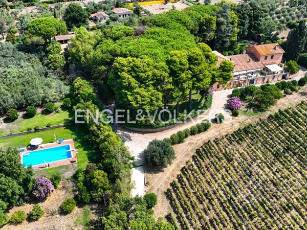 azienda agricola in vendita a Genzano di Roma