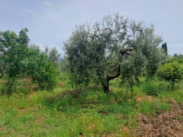 terreno agricolo in vendita a Genzano di Roma in zona Landi