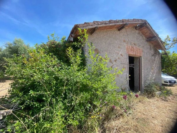 terreno agricolo in vendita a Genzano di Roma in zona Landi
