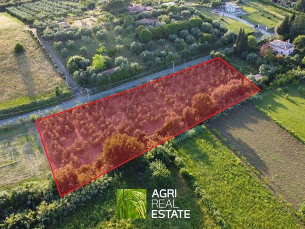 terreno agricolo in vendita a Genzano di Roma in zona Landi