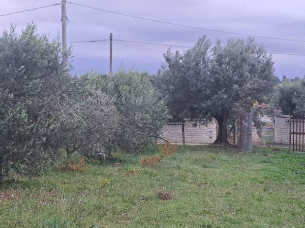 terreno agricolo in vendita a Genzano di Roma in zona Landi