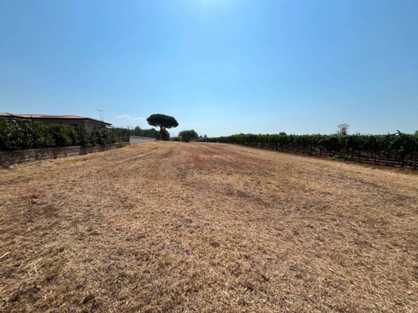 terreno agricolo in vendita a Genzano di Roma in zona Landi