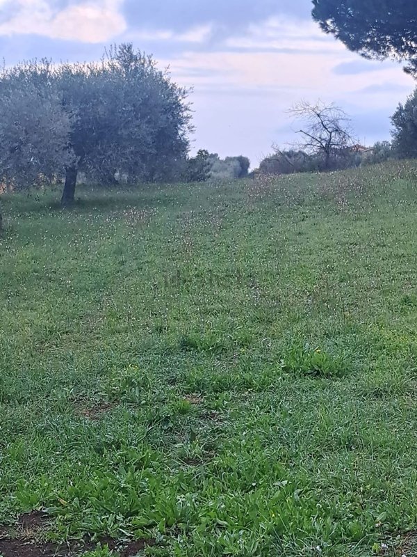 casale in vendita a Genzano di Roma in zona Muti