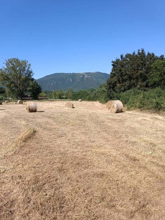 terreno agricolo in vendita a Gerano