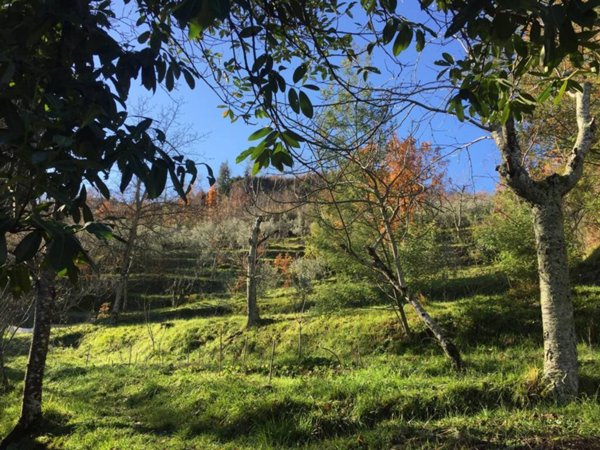 casa indipendente in vendita a Gerano