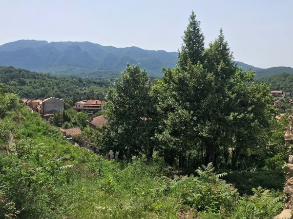 esavano in vendita a Gerano