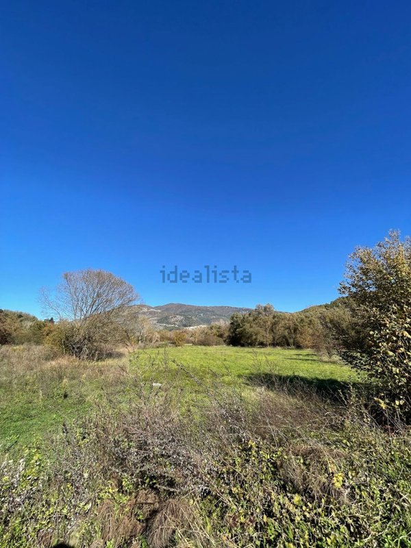 terreno agricolo in vendita a Gerano