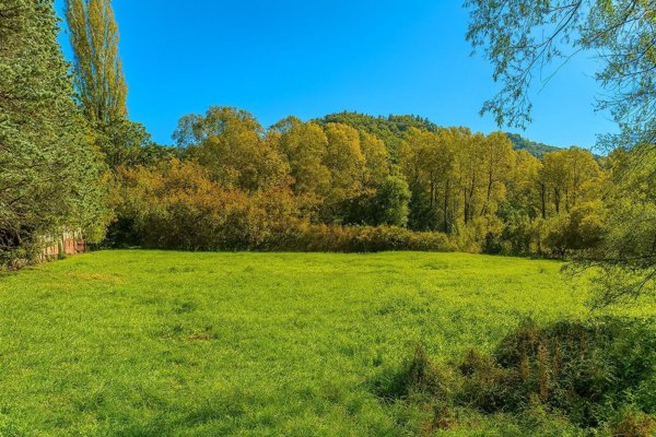 terreno agricolo in vendita a Gerano