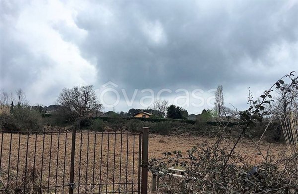 terreno agricolo in vendita a Grottaferrata