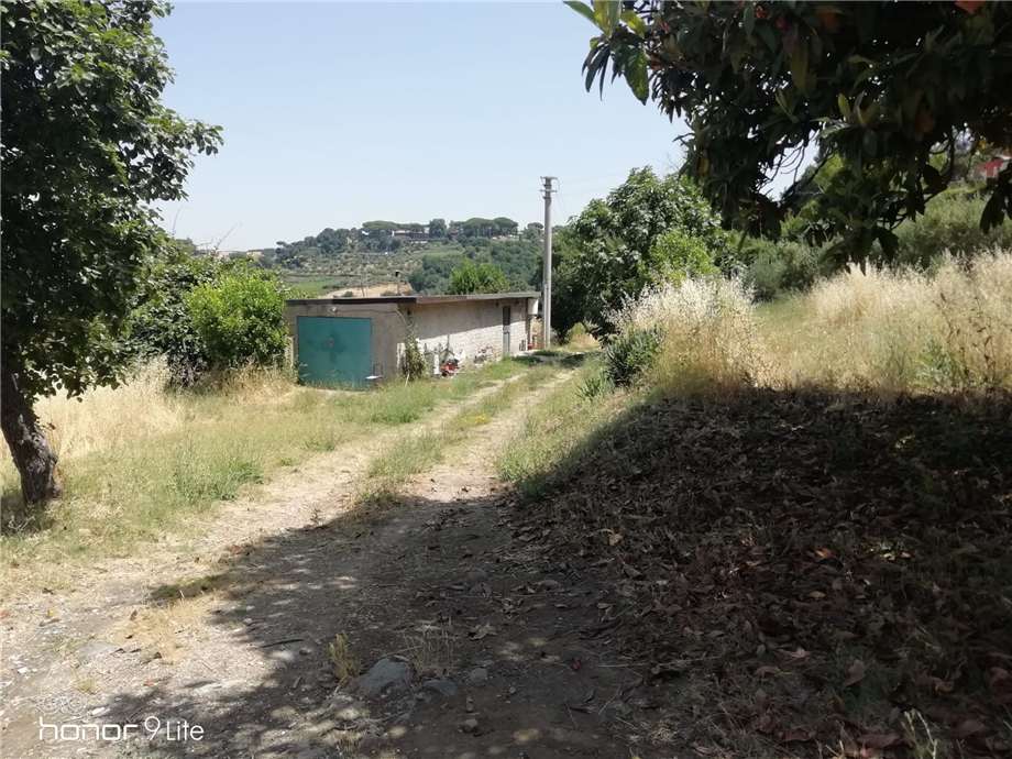 terreno agricolo in vendita a Grottaferrata