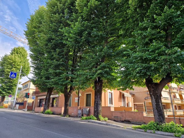 locale commerciale in vendita a Grottaferrata