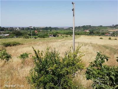 terreno agricolo in vendita a Grottaferrata