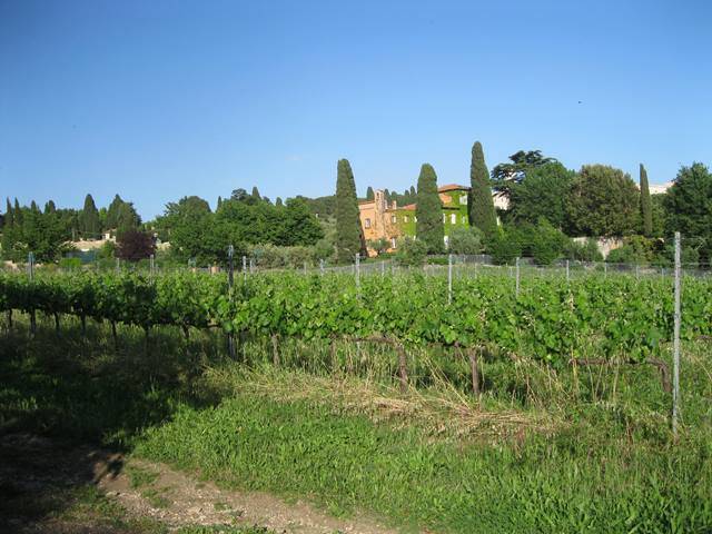 terreno agricolo in vendita a Grottaferrata
