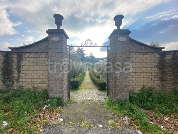 terreno agricolo in vendita a Grottaferrata