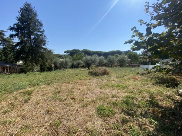 terreno agricolo in vendita a Grottaferrata