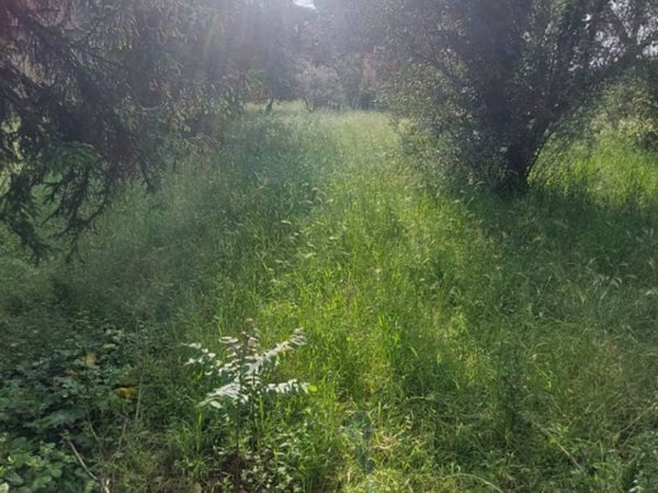 terreno agricolo in vendita a Grottaferrata