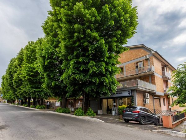 appartamento in vendita a Grottaferrata