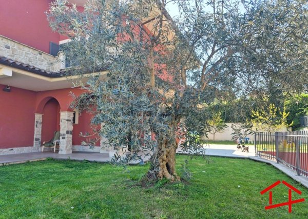 appartamento in vendita a Grottaferrata