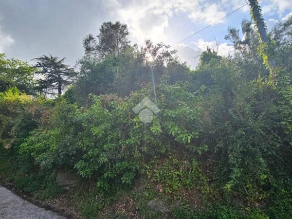 terreno agricolo in vendita a Grottaferrata