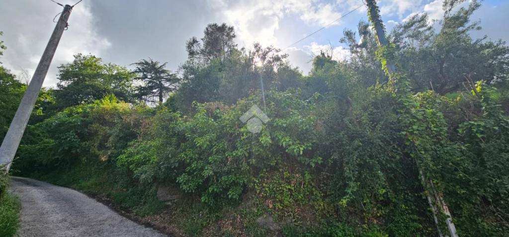 terreno agricolo in vendita a Grottaferrata