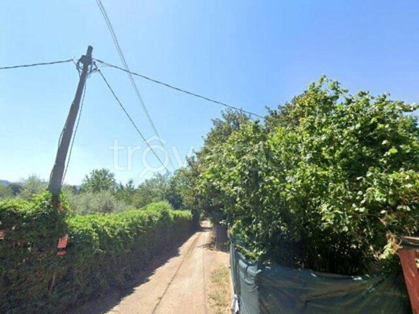 appartamento in vendita a Grottaferrata