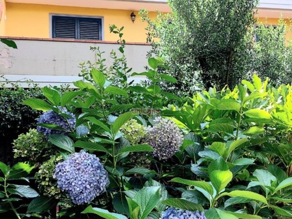 appartamento in vendita a Grottaferrata