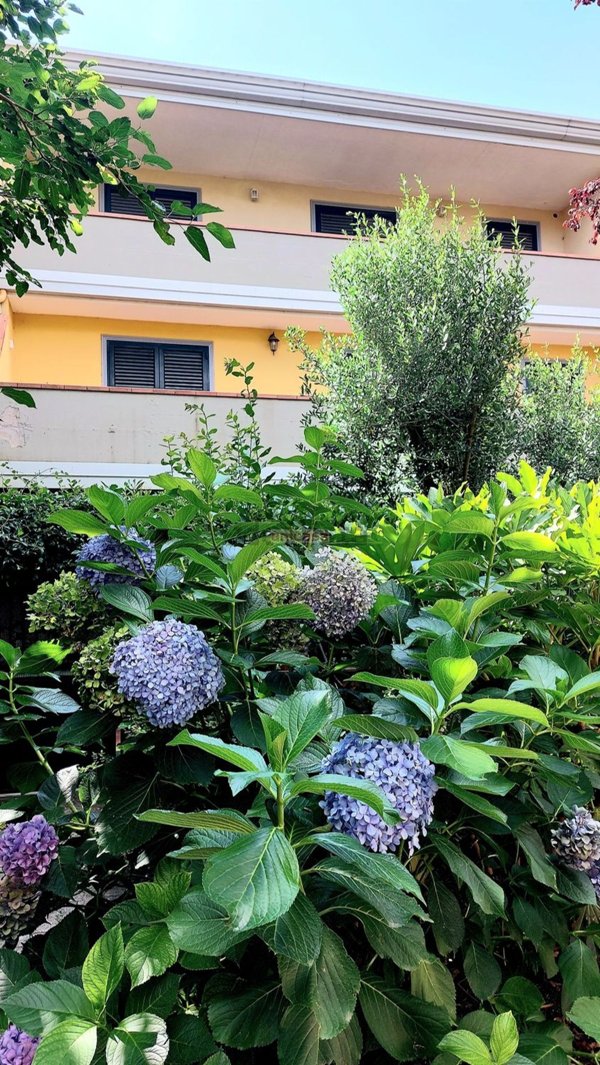 appartamento in vendita a Grottaferrata