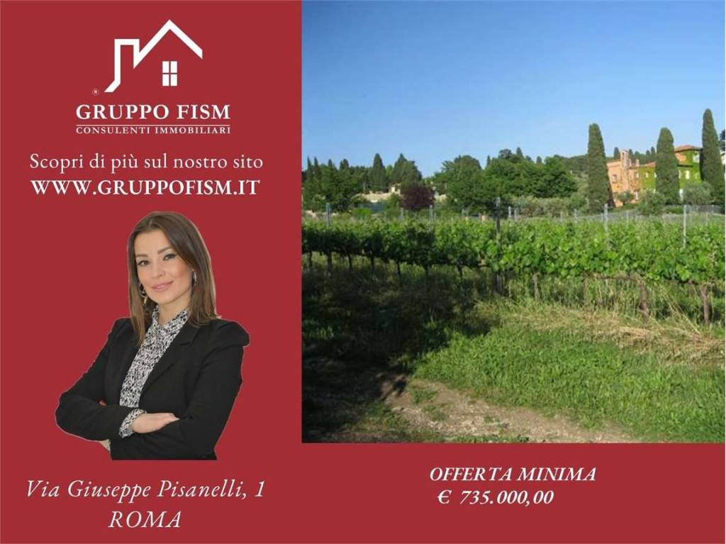 azienda agricola in vendita a Grottaferrata