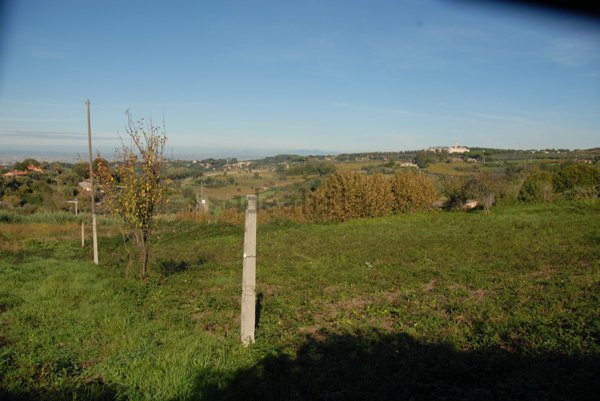 terreno agricolo in vendita a Grottaferrata